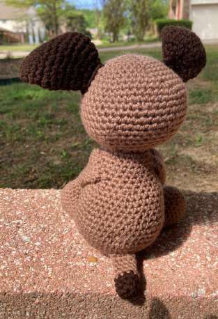 Charlotte the Mutt Pup