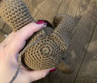 Charlotte the Mutt Pup