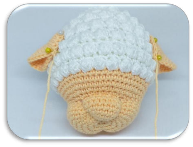 Ears Positioned on Head