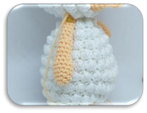 Head attached to body