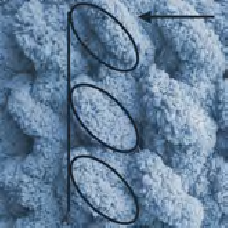 Basket Handles Detail