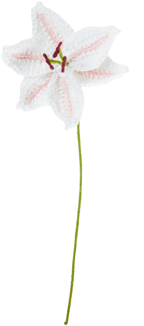 Finished white and pink crochet lily flower with a green stem