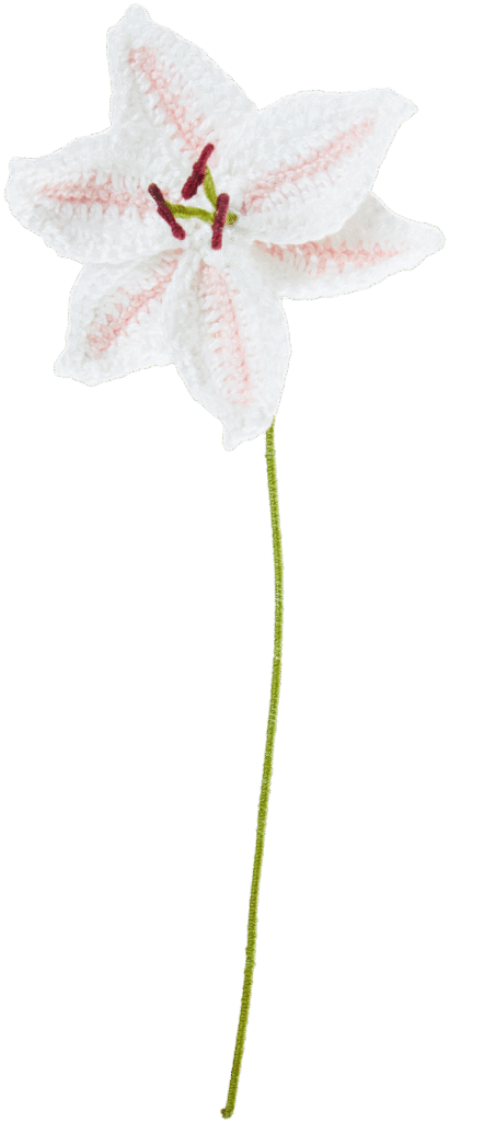 Crochet Your Serene Lily Today!