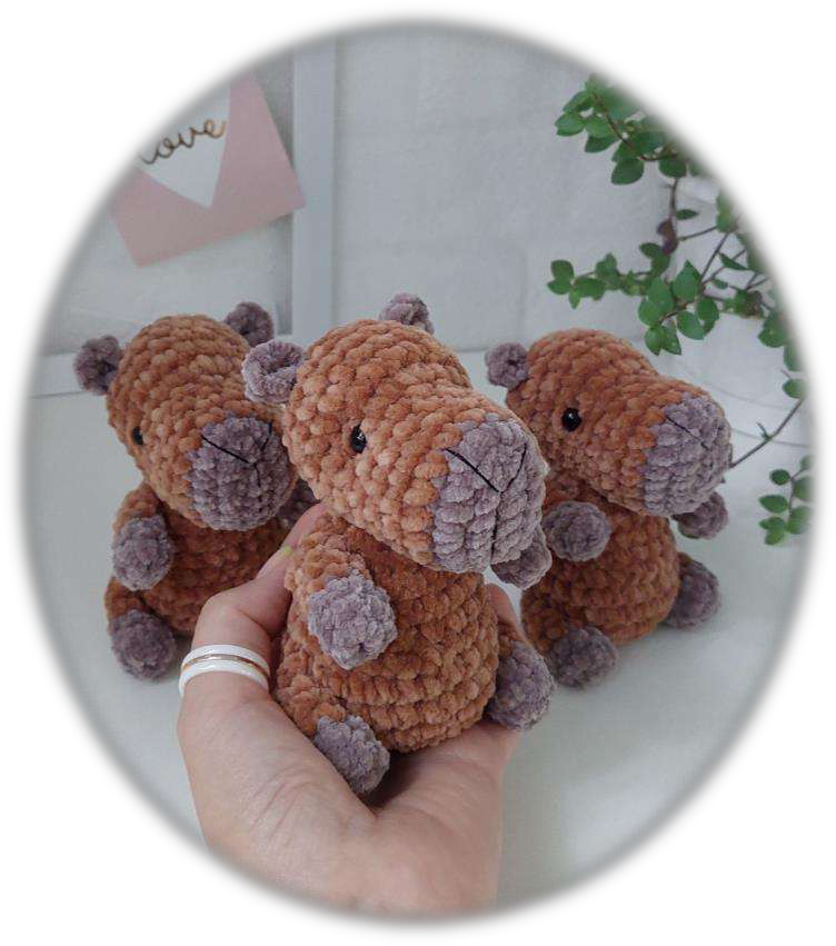 Close-up of the capybara's face