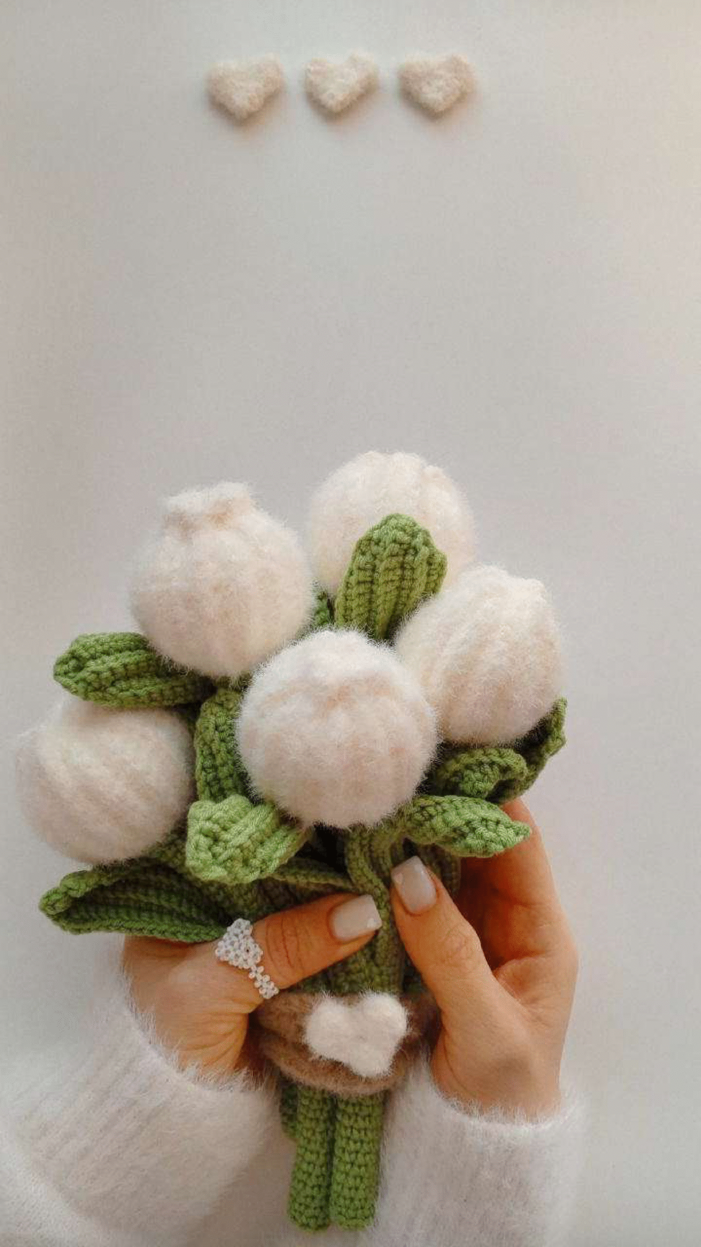 Fiesta Tulips Introduction