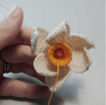 Two finished crochet daffodils