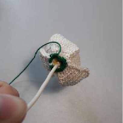 Daffodil in a small pot