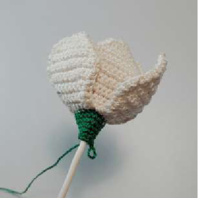 Close-up on the petals