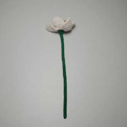 The back of the flower head