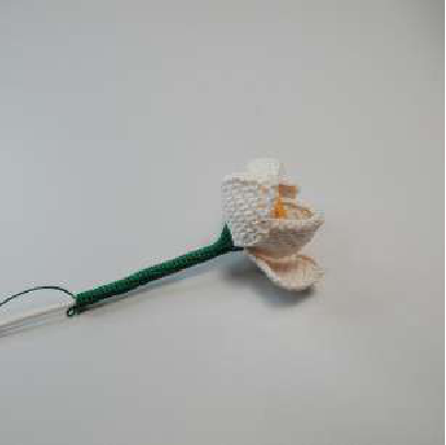 Finished daffodil flower close-up