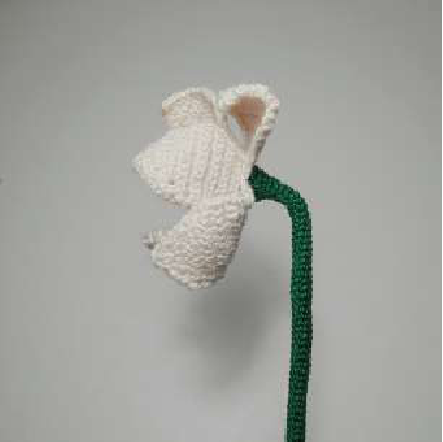 The base of the flower and stem