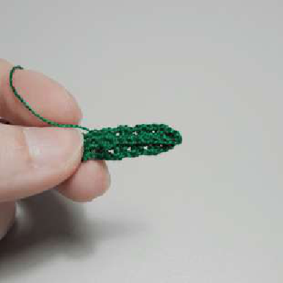 White and yellow daffodil