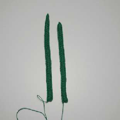 Bright daffodil flower