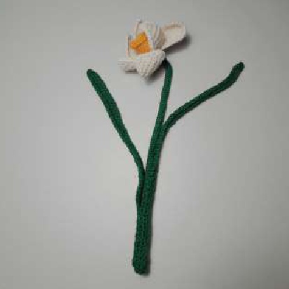 Daffodil with green leaf