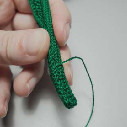 A single beautiful daffodil