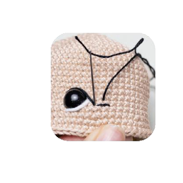 Continuing eye embroidery