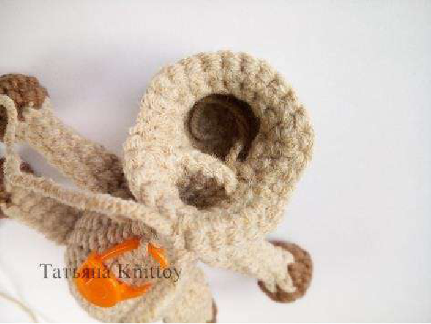 Front view of head before closing