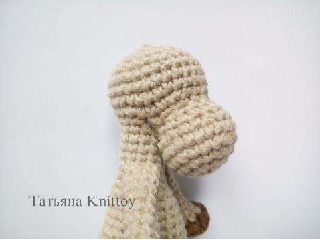 Eye placement reference