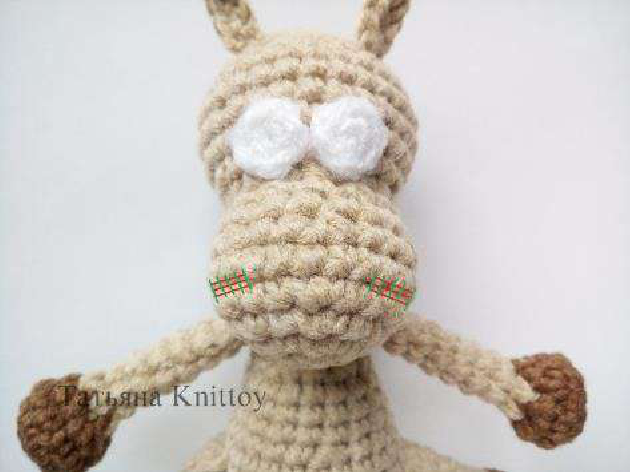 Embroidering initial nostril stitches