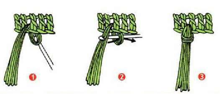 Boy pony with short mane