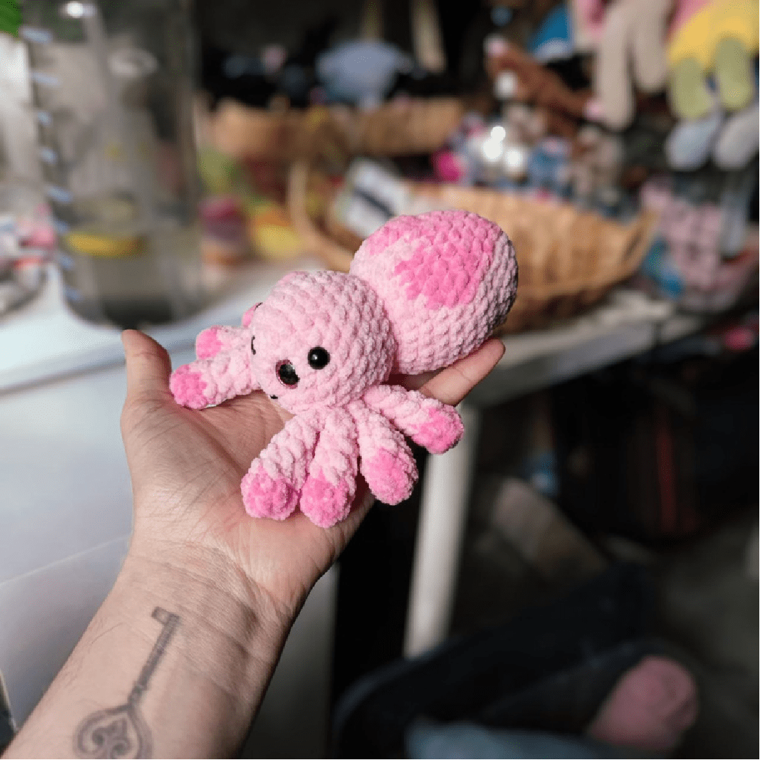 Spider with heart pattern on back