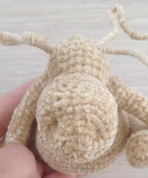 Sewing Ears onto Moose Head