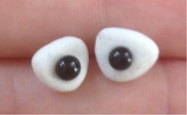 Moose Face with Eyes Attached