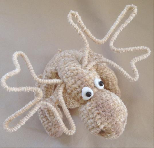 Finished Moose Face Close-up